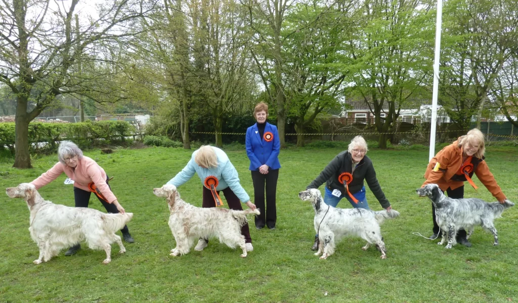 NESS 1st Open 2023 1 BIS Line Up at 2023 NESS Open Show. Judge Marai Dobbie e1681227341919